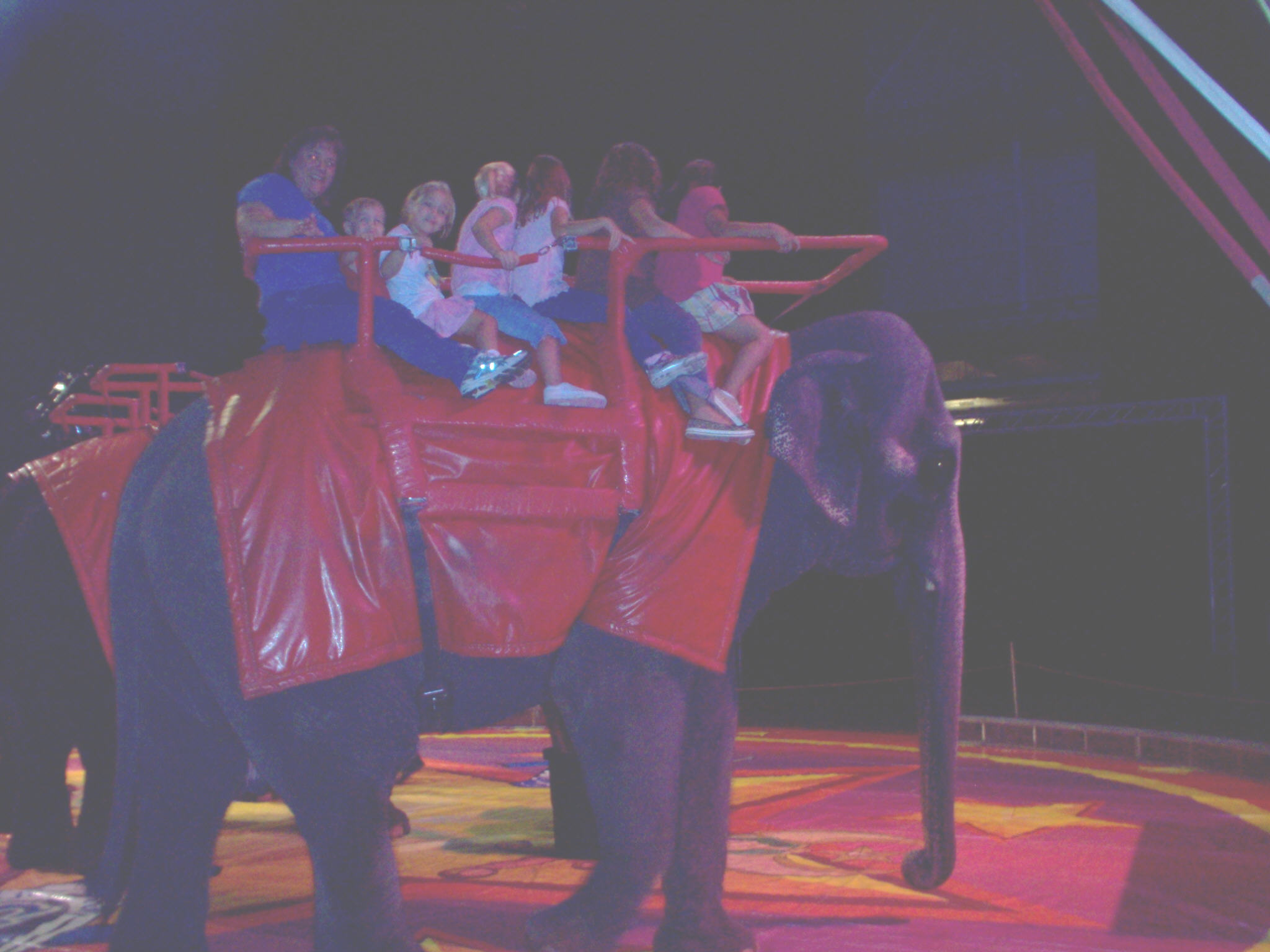 elephantride.jpg